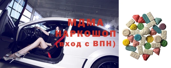 индика Бородино