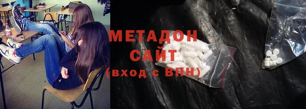 индика Бородино