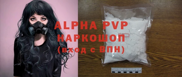 индика Бородино
