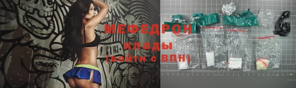 индика Бородино