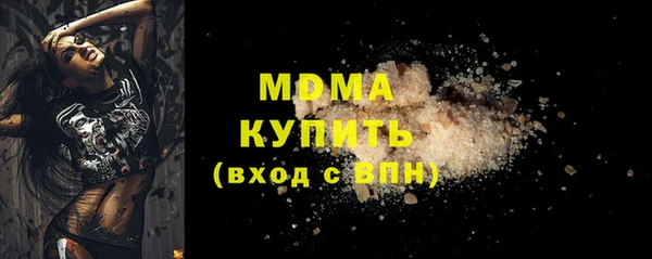 индика Бородино