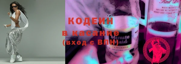 индика Бородино
