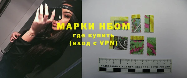 индика Бородино