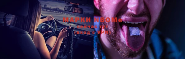 индика Бородино
