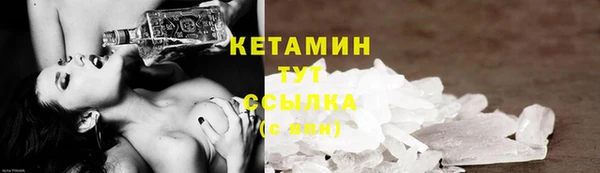 индика Бородино