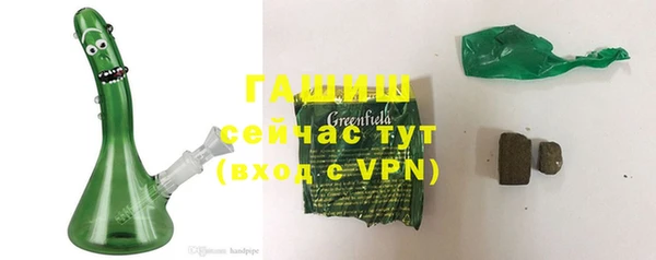 индика Бородино