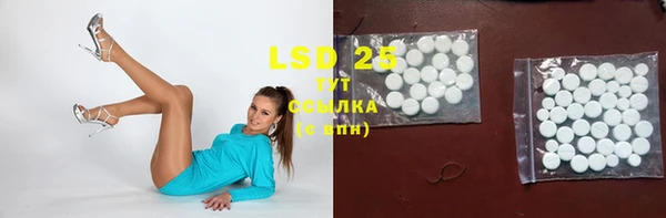 индика Бородино