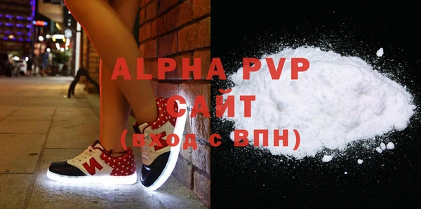индика Бородино
