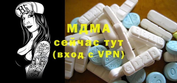 индика Бородино