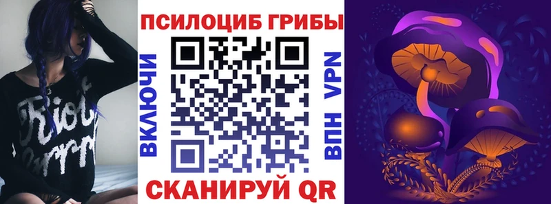 Псилоцибиновые грибы MAGIC MUSHROOMS  где купить наркоту  Можайск 